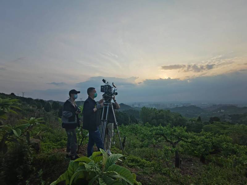 创意破圈！遵化市电商产品宣传视频用故事化叙事引爆流量