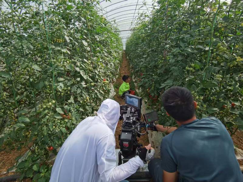 遵化市产品宣传视频拍摄公司进阶指南，助力品牌抢占传播高地